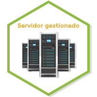 Servidor gestionado